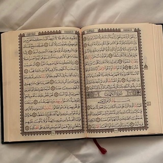 Telegram profile photo for القران الكريم♥️