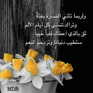 Telegram profile photo for ولربما ..؟!