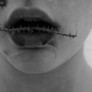 Telegram profile photo for bdsmland