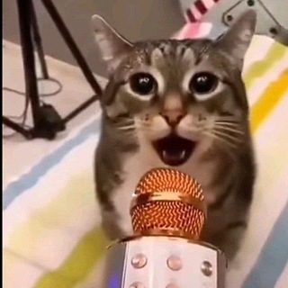 Telegram profile photo for Зиз очень круто(нет)