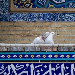 Telegram profile photo for hend_ashraf15