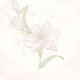 Telegram profile photo for ︎ ︎ ︎ ︎ ︎ ︎ ︎ ︎