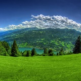 Telegram profile photo for Nature