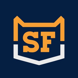 Telegram profile photo for Steel Fox | ХК «Металлург» Магнитогорск