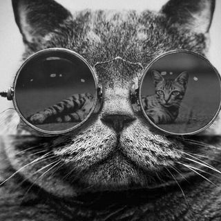 Telegram profile photo for Знакомства Питер Москва