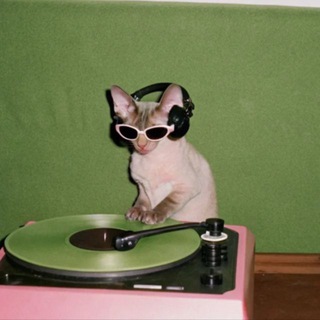 Telegram profile photo for Send Your Music