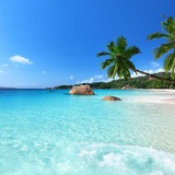 Telegram profile photo for Ставки на спорт. Умные мысли)