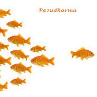 Telegram profile photo for Pazudharma