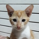 Telegram profile photo for hm
