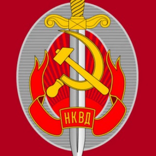 Telegram profile photo for Российский майор