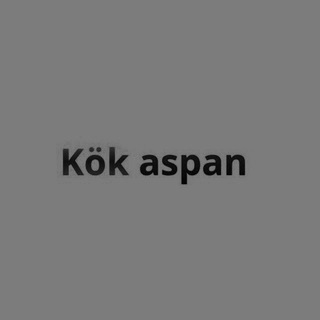 Telegram profile photo for KÖK ASPAN