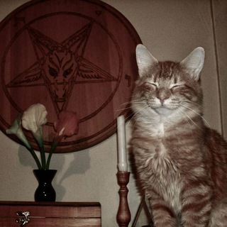 Telegram profile photo for ̶б̶о̶л̶ь̶н̶ы̶е̶ записи катяры
