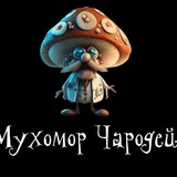 Telegram profile photo for Мухомор Чародей