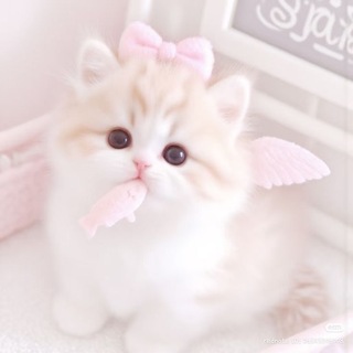 Telegram profile photo for 🍥 : ᚳ𝒊𝒏ꑄ𝒉𝒚𝐚 ꨄ | 𝐫𝐞𝐬𝐭.