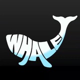 Telegram profile photo for Crypto Whale Insider 🦈
