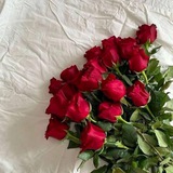 Telegram profile photo for ကဗျာစာတို