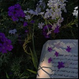 Telegram profile photo for حنْينْ آلُروُح💜