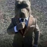 Telegram profile photo for сквимиинфешен