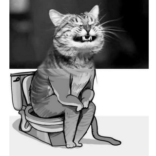 Telegram profile photo for Digital_Shit