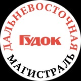 Telegram profile photo for Газета «Дальневосточная магистраль»