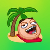 Telegram profile photo for Island Expert