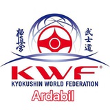 Telegram profile photo for کیوکوشینKWFاستان اردبیل