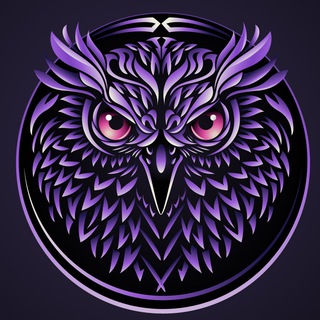 Telegram group profile photo for 🦉The Midnight Show | TMSC