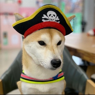 Telegram profile photo for TUNA PORTAL