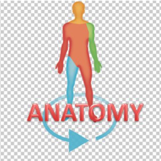 Telegram profile photo for ANATOMY-AIM4PG