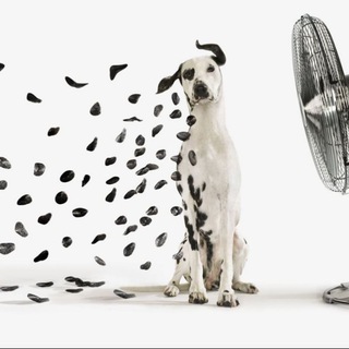 Telegram profile photo for Запах дождя