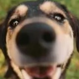 Telegram profile photo for Отзывы адопт