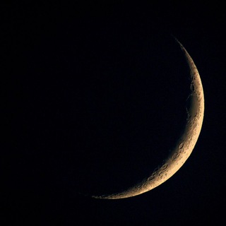 Telegram profile photo for ππΎπ»πΌπ²π πππ