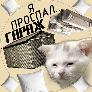 Telegram profile photo for я пр⌬спал гараж (👹😴)