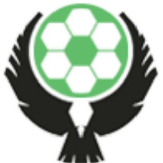 Telegram profile photo for Nigeria Predictions ⚽️ ✅