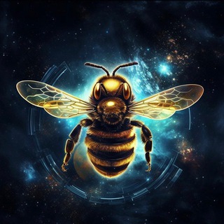 Telegram profile photo for VickiBee Calls