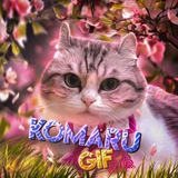 Telegram profile photo for Komaru ~ GIF 🌷