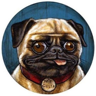 Telegram profile photo for Шутконосия