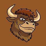 Telegram profile photo for $BULL Portal