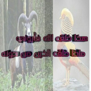 Telegram profile photo for غرائب و عجائب مخلوقات الله