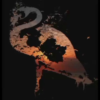 Telegram profile photo for Ana Vətən آنا وطن