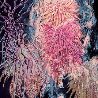 Telegram profile photo for Нейроотличница💅🏻👾💖🎆🧬 bipolar СДВГ РАС БАР мемы