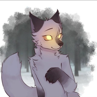 Telegram profile photo for Fox Tales .𖥔 ݁ ˖⋆ ˚❆
