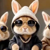 Telegram profile photo for Rabbit Trails and Bunny Tales