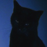 Telegram profile photo for • Codeain •