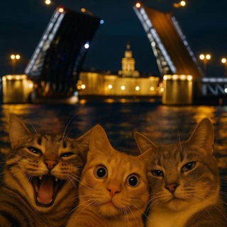 Telegram profile photo for Девчата Питер ❤️ Активности / общение