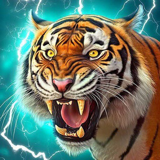 Telegram profile photo for Ruhi sharma