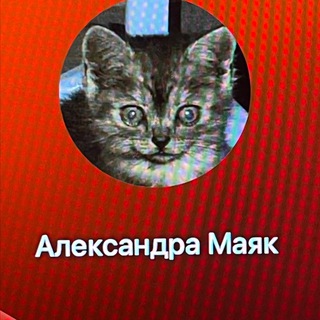 Telegram profile photo for светионик сеал
