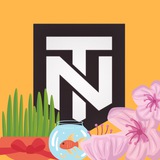 Telegram profile photo for 💛 طلانتورک | TalaNetwork