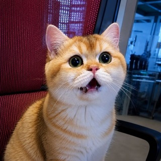 Telegram profile photo for IMAM OTP Method