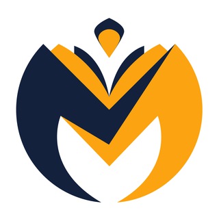 Telegram profile photo for متامدیر | آموزش سئو به زبان ساده